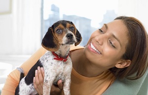 pet care